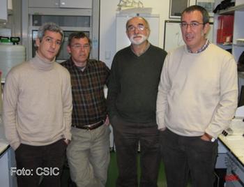 Daniel Luque, Francisco Rodríguez, José L. Carrascosa y José R. Castón, integrantes del equipo de investigación del CISC.