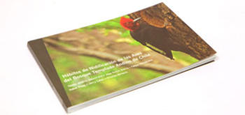 El libro ofrece una numerosa colección de fotografías de aves del bosque templado andino chileno (FOTO: UC).