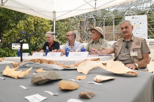 Muestra de fósiles hallados en las excavaciones de 2019.