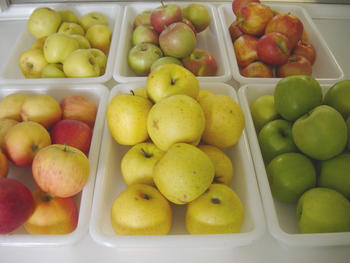 Manzanas (Foto cedida por el ITA)