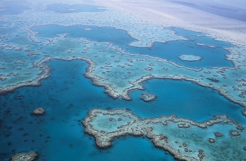 La Gran Barrera de Coral australiana. Foto: UGR.