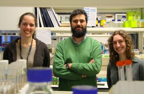 Equipa liderada por Carlos Conde (ao centro) centrou-se no estudo da MAD1, uma proteína que muda de localização de forma dinâmica durante a divisão das células/i3S