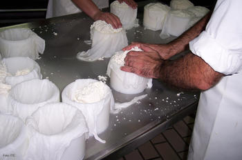 Un momento del proceso de elaboración del queso.