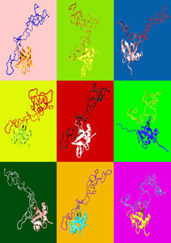 Formación polimórfica de una proteína neurotóxica. Cada color representa una simulación informática distinta de la proteína. Foto: CSIC.