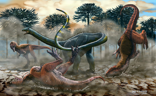 Leinkupal laticauda se defiende de depredadores. Ilustración: Jorge Antonio González.