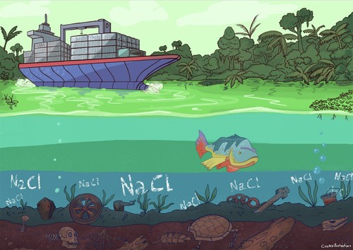¿Cómo ha cambiado el ecosistema del río Chagres desde la época previa al Canal de Panamá?/Ian Cooke/Cooked Illustrations