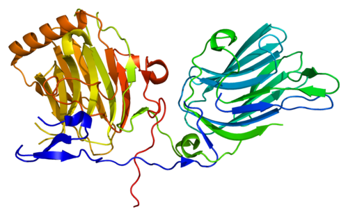 Estructura de la proteína GAS6/EMW