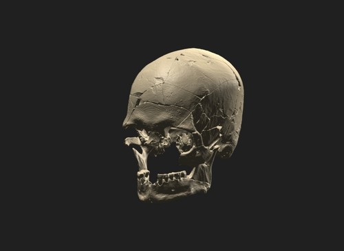 Renderización tridimensional con base en la tomografía del cráneo de Luzio. Crédito: André Menezes Strauss/MAE-USP.