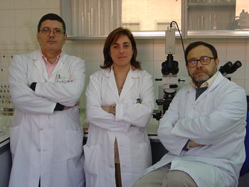 De izquierda a derecha José Aijón, Almudena Velasco y Juan Lara, investigadores del proyecto