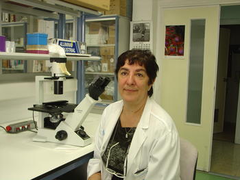 María Consuelo del Cañizo, en su laboratorio del Hospital Clínico