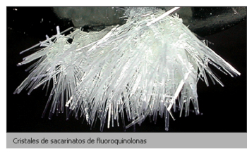 Cristales sacarinatos (FOTO: UNC).