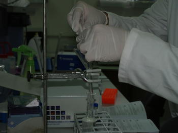 Detalle del trabajo en un laboratorio del IRNASA.