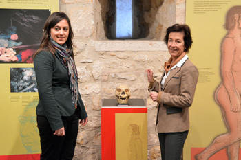 Réplica del cráneo 5, Miguelón (Homo heidelbergensis) FOTO: Museo de las Merindades.