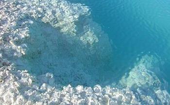 Estromatolitos en lagunas de altura (FOTO: Conicet).