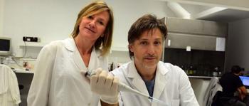  Banchio y Girardini, investigadores del Instituto de Biología Molecular y Celular de Rosario (UNR-CONICET). 