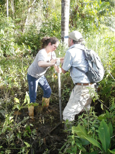Momento de la extracción de registros sedimentarios del pantanal de palmeras de Caño Tigre (E. Montoya y F.W. Stauffer)/Encarni Montoya