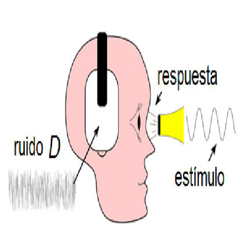 Esquema de experimento psicofísico para medir la correlación C entre un estímulo y la respuesta del sistema en presencia de un “ruido” D. Imagen: UGR.