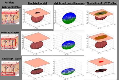 A) Zonas de la piel; B) Simulación del melanoma a diferentes profundidades; C) Simulación de las áreas visibles en la piel a diferentes profundidades; D) Simulación del mapa de color de los materiales en relación con la profundidad en la piel.