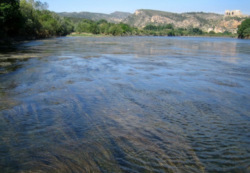 El río Ebro./ Carles Ibáñez / IRTA.