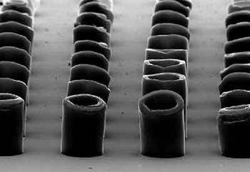 Nanotubos de carbono.