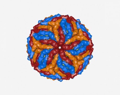Modelo en 3D del virus del Zika/NIH.