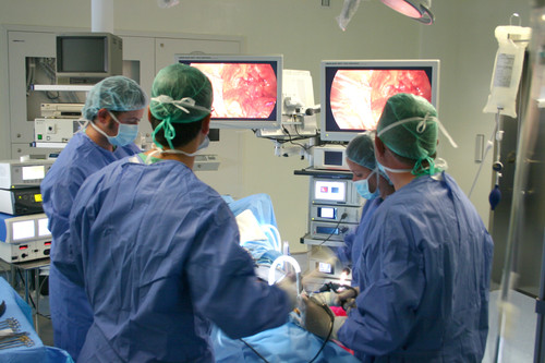 Cirugía urológica.