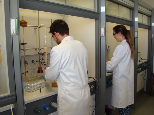 Dos miembros del Grupo de Investigación de Síntesis de principios activos y química de esteroides de la UVa trabajan en el laboratorio. 