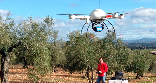 Drones para cartografiar árboles. Foto: CSIC.