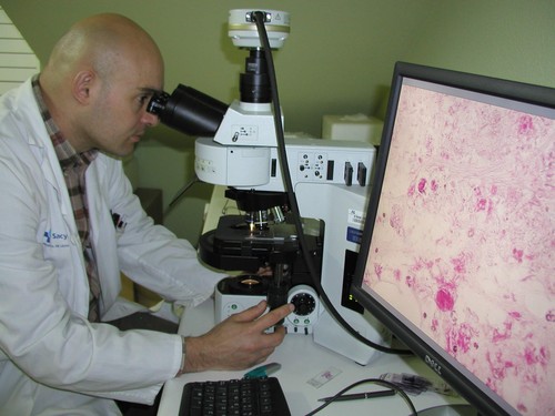 El investigador Octavio Rivero analizando unas muestras al microscopio