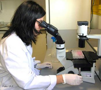 Una investigadora, viendo células al microscopio.