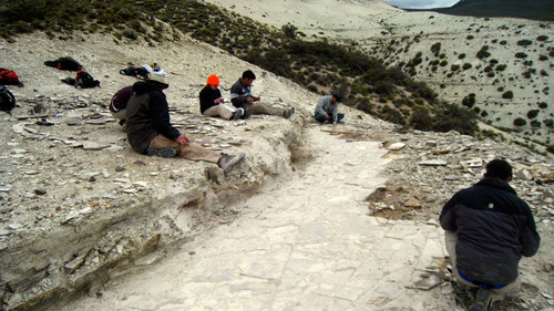 Investigadores realizan trabajo de campo en el yacimiento de Laguna del Hunco. Foto: gentileza investigador.