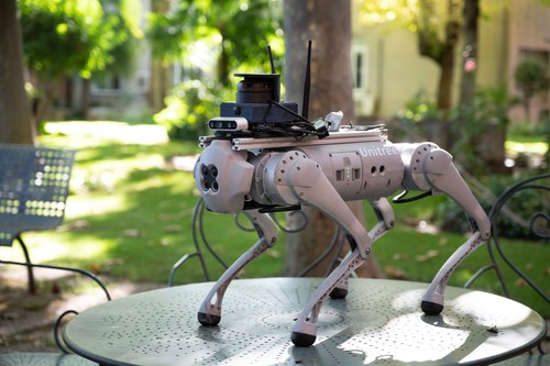 El perro robótico Tefi, pensado para asistir a personas con discapacidad. / Lorenzo Plana / CSIC Comunicación.