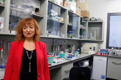 La responsable del Grupo de NanoBioSensores y Aplicaciones Bioanalíticas del ICN2 catalán, Laura Lechuga. FOTO: CSIC.