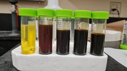 Diferentes aceites durante el proceso. /Foto: Raiza Johanna Manrique Waldo, Grupo de Investigación Tayea, UNAL Sede Medellín.