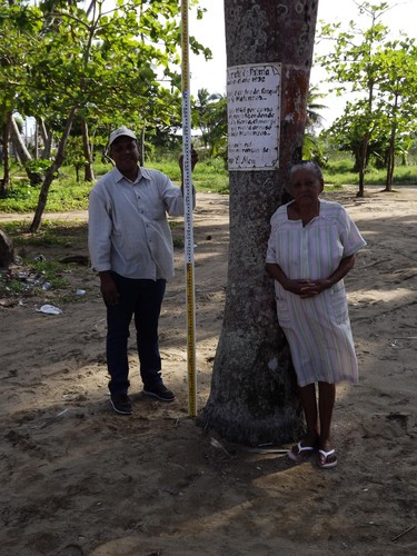 Supervivientes del tsunami de 1946 en República Dominicana/Hermann Fritz