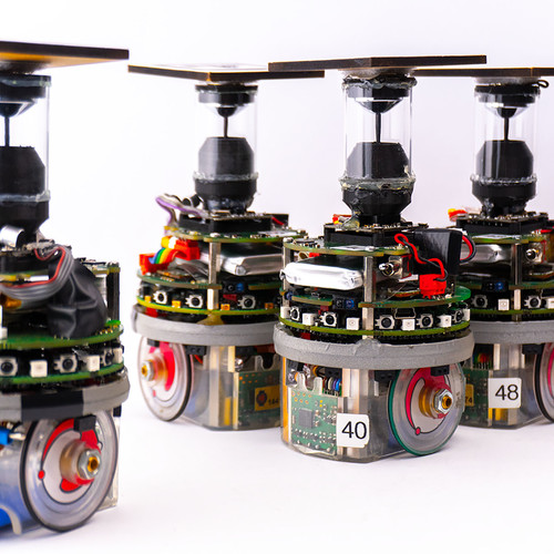 Los enjambres de robots operan de forma distribuida y sin el control de entes externos. Foto: David Garzón Ramos.