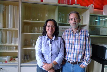 María Jesús Tuñon y Javier González Gallego, investigadores del Instituto de Biomedicina de León (Ibiomed).