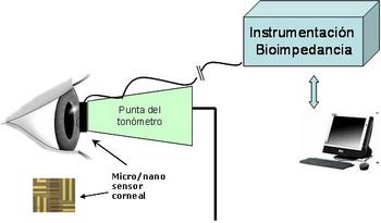 Esquema de los elementos necesarios para la medida de la bioimpedancia (FOTO: Ioba).