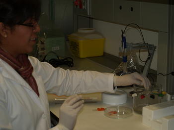 Una investigadora, en el laboratorio.