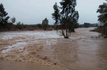 Inundación. Foto: MNCN.