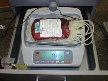 Bolsa en la que se introduce la sangre en el momento de la donación