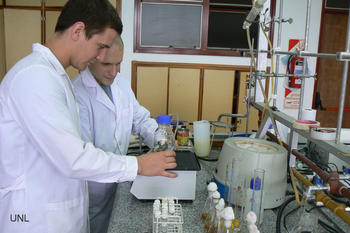 Un grupo de investigadores de la Universidad Nacional del Litoral (UNL) identificó una fuente alternativa para producir bioetanol.