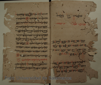 Fotografía tomada para la digitalización de los manuscritos del Avesta