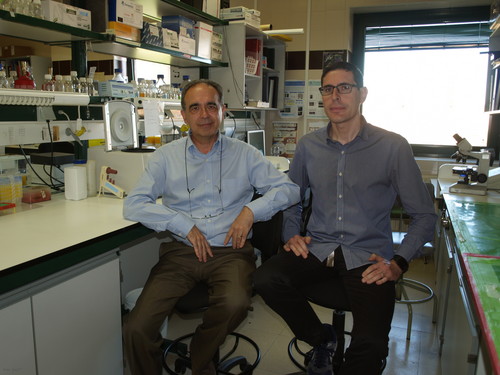 José Luis Revuelta (izquierda) y Rubén Martínez-Buey, en el laboratorio.