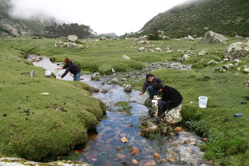 Monitoreo de la calidad del agua de los ríos de Perú/UNMSM