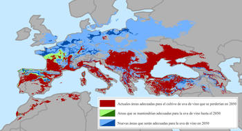 Mapa europeo de áreas adecuadas para el cultivo de uva (por Conservation International).