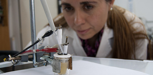 Marcela Rodríguez controlando la celda electroquímica. FOTO: UNC.