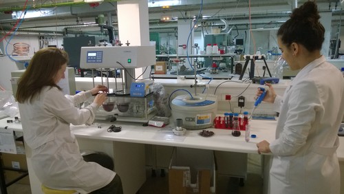 Las investigadoras Teresa Moreno y Ana Álvarez, en el laboratorio del Grupo de Procesos a Alta Presión.