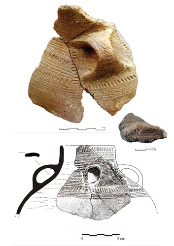 Dibujo reconstrucción del vaso cerámico a partir de los fragmentos hallados en Cova Eirós - Author: X. Constela.