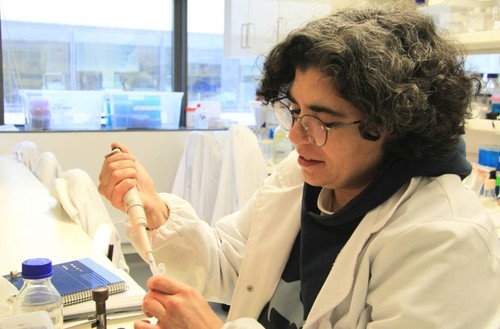 O estudo foi coordenado por Marta Vaz Mendes, investigadora do grupo 'Bioengineering & Synthetic Microbiology' do i3S/I3S